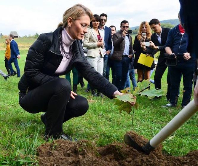 PROIECT PNL: Alina Gorghiu a dat startul plantării stejarilor la Sighetu Marmației, în cadrul proiectului ”România prinde rădăcini”