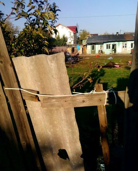 CRUZIME: Cal abandonat şi lăsat să moară în chinuri