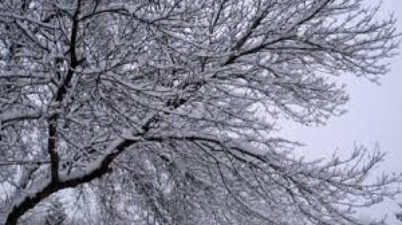 ANM: Temperaturi apropiate de normele climatologice și excedent de precipitații în anumite regiuni, în intervalul noiembrie 2015 – ianuarie 2016 ANM: Temperaturi apropiate de normele climatologice și excedent de precipitații în anumite regiuni, în intervalul noiembrie 2015 – ianuarie 2016