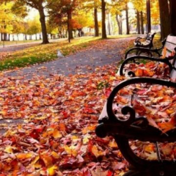 METEO: Prognoza ANM pentru Maramureș în următoarele două săptămâni METEO: Prognoza ANM pentru Maramureș în următoarele două săptămâni