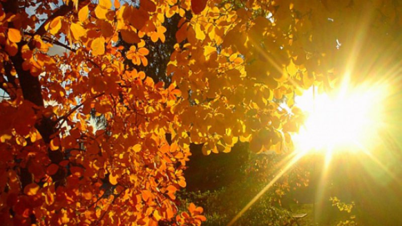 ANM: Cum va fi vremea la sfârşit de săptămână. Prognoza meteo pentru weekend ANM: Cum va fi vremea la sfârşit de săptămână. Prognoza meteo pentru weekend