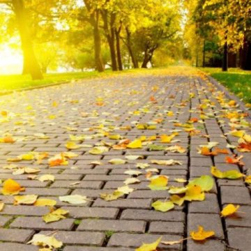 ANM: Vremea în Maramureș în următoarele două săptămâni ANM: Vremea în Maramureș în următoarele două săptămâni