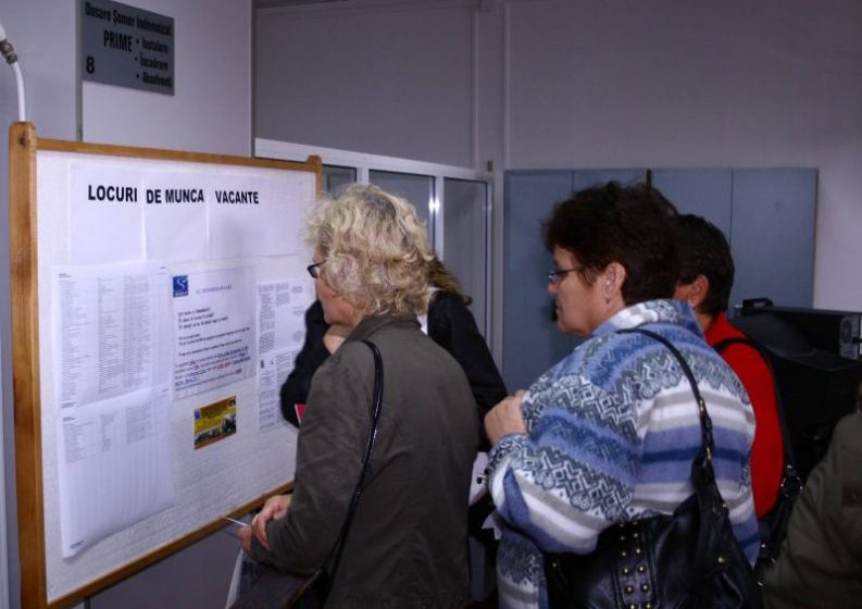 MARAMUREȘ: Unii șomeri nu se arată deloc interesați să-și găsească un loc de muncă