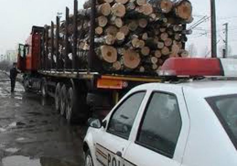 BORŞA: Un bărbat a fost sancţionat contravenţional cu amendă de 5.000 de lei pentru transport ilegal de material lemnos BORŞA: Un bărbat a fost sancţionat contravenţional cu amendă de 5.000 de lei pentru transport ilegal de material lemnos