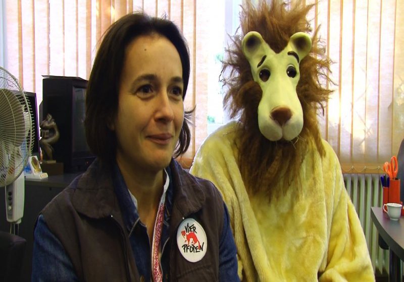 BAIA MARE: Leii de la fosta grădină zoologică vor fi trimiși în Africa