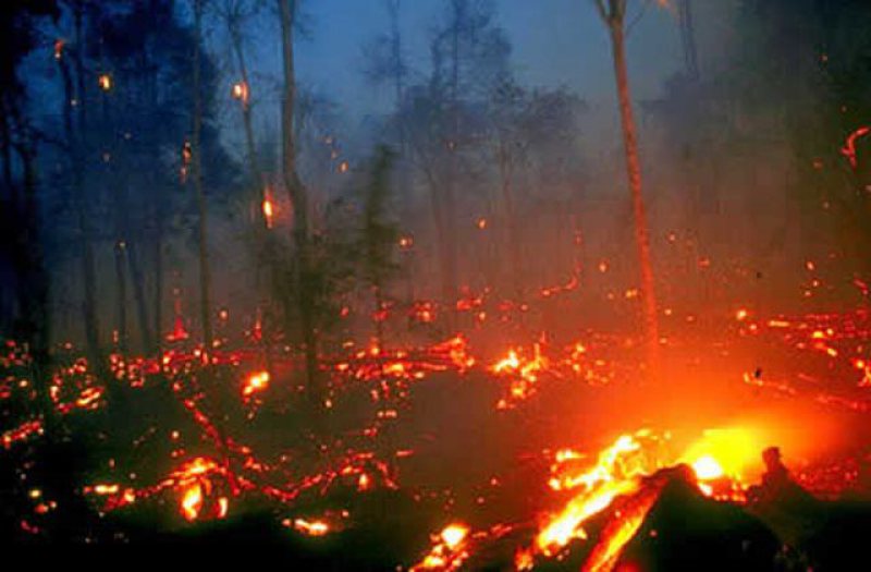 AJUTOR: Rusia oferă asistenţă Indoneziei în stingerea incendiilor de vegetaţie AJUTOR: Rusia oferă asistenţă Indoneziei în stingerea incendiilor de vegetaţie