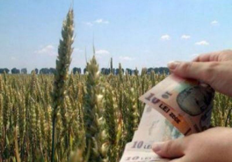 MARAMUREȘ: APIA îi controlează în aceste zile pe fermierii care și-au depus actele pentru subvenții MARAMUREȘ: APIA îi controlează în aceste zile pe fermierii care și-au depus actele pentru subvenții