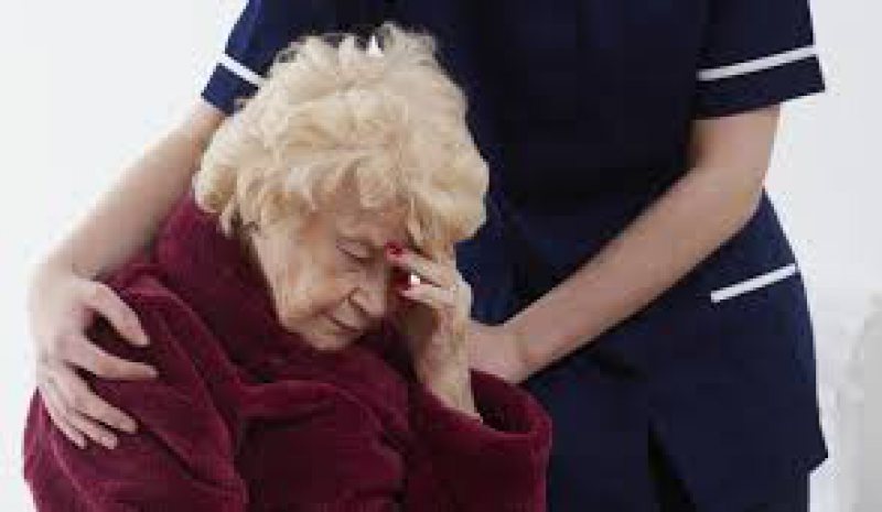 STUDIU: Boala Alzheimer ar putea fi provocată de ciuperci STUDIU: Boala Alzheimer ar putea fi provocată de ciuperci