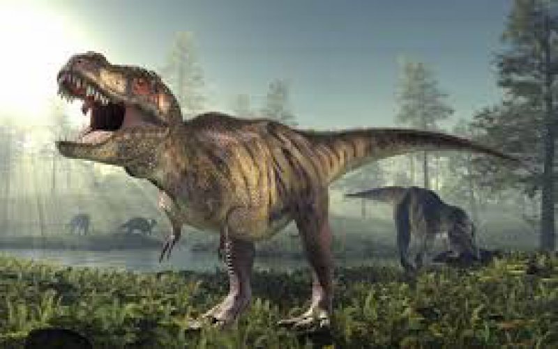 ŞTIINŢĂ: Dispariţia dinozaurilor ar fi putut fi cauzată de materia întunecată din Univers, care a trimis o "torpilă" spre Terra ŞTIINŢĂ: Dispariţia dinozaurilor ar fi putut fi cauzată de materia întunecată din Univers, care a trimis o "torpilă" spre Terra