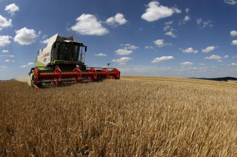 MARAMUREȘ: Fermierii vor putea accesa până la finalul anului doar o parte din fondurile care li se cuvin MARAMUREȘ: Fermierii vor putea accesa până la finalul anului doar o parte din fondurile care li se cuvin