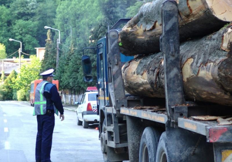 SĂCEL: Material lemnos confiscat de poliţişti