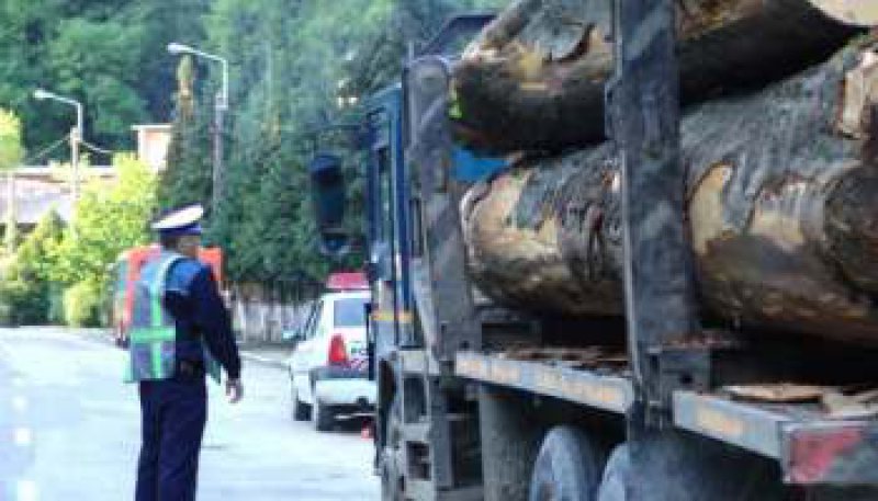 BORŞA: Poliţiştii au confiscat peste 17 metri cubi de lemn BORŞA: Poliţiştii au confiscat peste 17 metri cubi de lemn