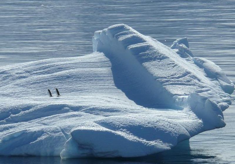 BOJARIU (ANM): Temperatura medie globală a crescut cu 0,85 grade, iar oceanul planetar cu 20 cm, în ultimii 100 de ani