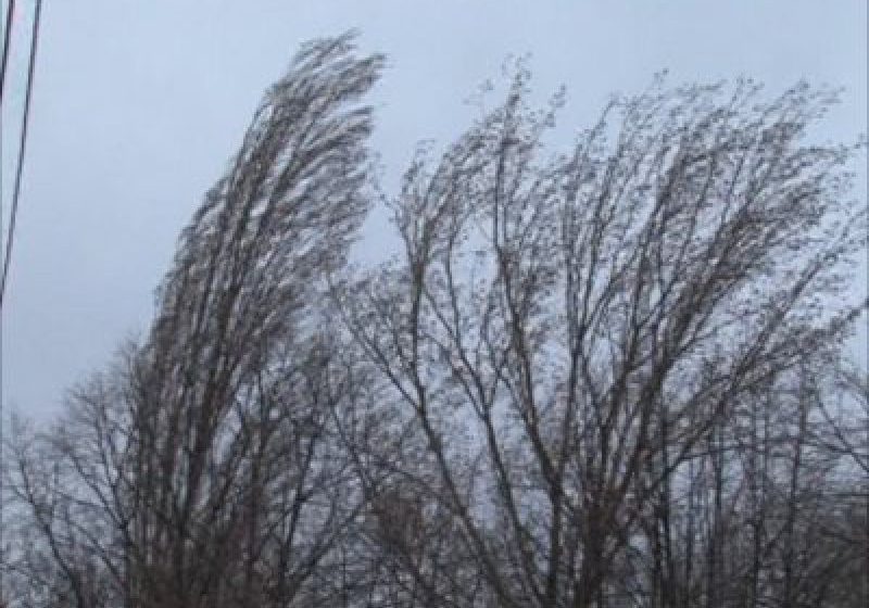VREMEA: Luni se raceste peste tot. Precipitatile vin pe zone vaste in jumatatea sudica si local in nord