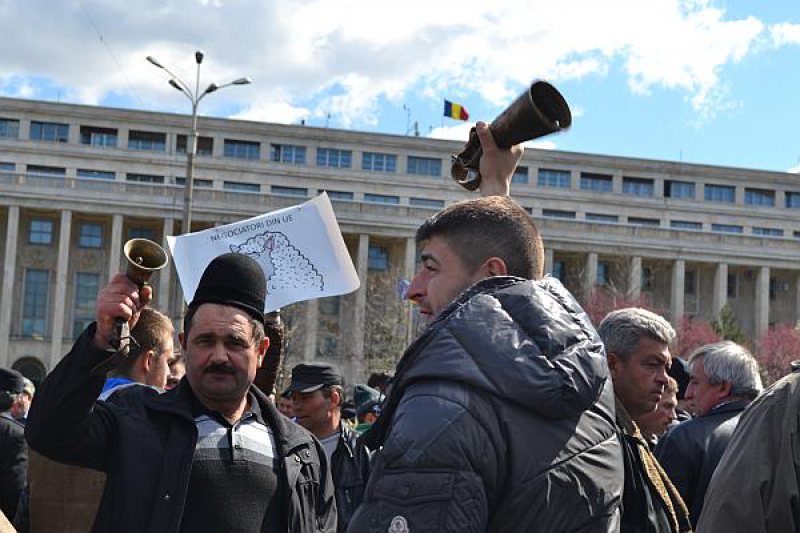 PROTEST ÎN FAŢA PARLAMENTULUI: Mii de crescători de oi din toată ţara reclamă modificările aduse Legii vânătorii PROTEST ÎN FAŢA PARLAMENTULUI: Mii de crescători de oi din toată ţara reclamă modificările aduse Legii vânătorii
