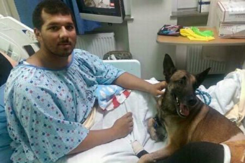IMPRESIONANT: Răniți în Afganistan în același atac, un militar și câinele lui sunt nedespărțiți și în spital IMPRESIONANT: Răniți în Afganistan în același atac, un militar și câinele lui sunt nedespărțiți și în spital