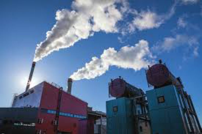 CNP: Resursele energetice ale României vor crește cu 1,6% anul viitor, la 43,3 milioane tep CNP: Resursele energetice ale României vor crește cu 1,6% anul viitor, la 43,3 milioane tep