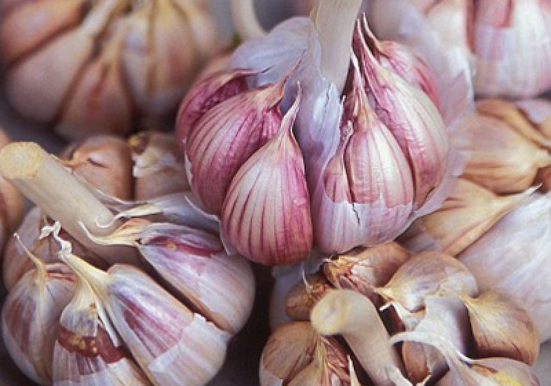 NEUROLOGIE: Alimente care protejează creierul
