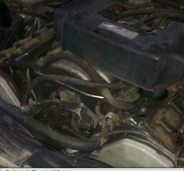 CONTRABANDĂ CU TESTOSTERON: Aproape 1.300 fiole cu testosteron, descoperite de polițiștii de frontieră în motorul unui autoturism CONTRABANDĂ CU TESTOSTERON: Aproape 1.300 fiole cu testosteron, descoperite de polițiștii de frontieră în motorul unui autoturism