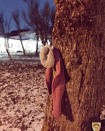 BAIA MARE: Elevii au pus haine groase în parc pentru a fi luate de oamenii străzii BAIA MARE: Elevii au pus haine groase în parc pentru a fi luate de oamenii străzii