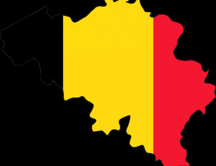 BELGIA: 10.000 de cetățeni străini expulzați în ultimul an BELGIA: 10.000 de cetățeni străini expulzați în ultimul an