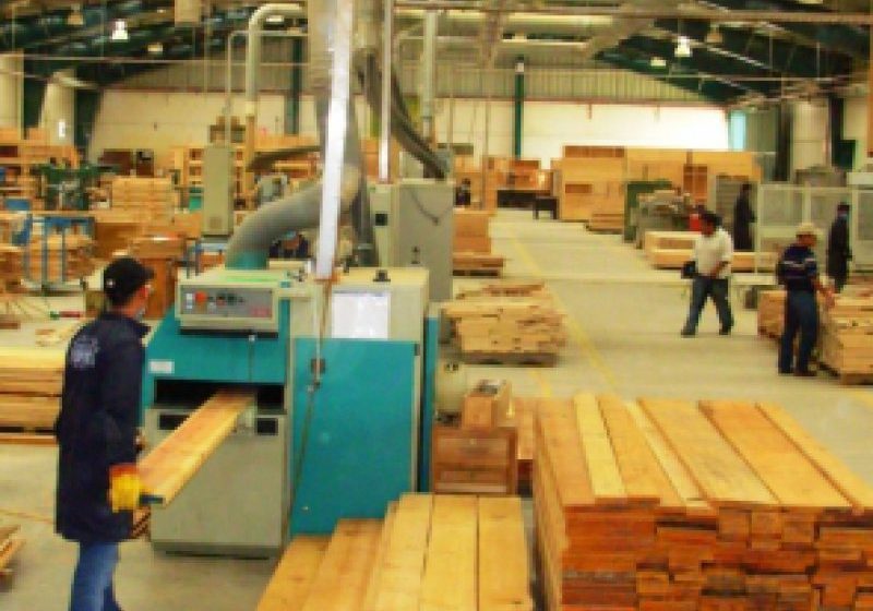 MARAMUREȘ: Cei mai mulți morți în accidente de muncă se înregistrează în industria de prelucrare a lemnului
