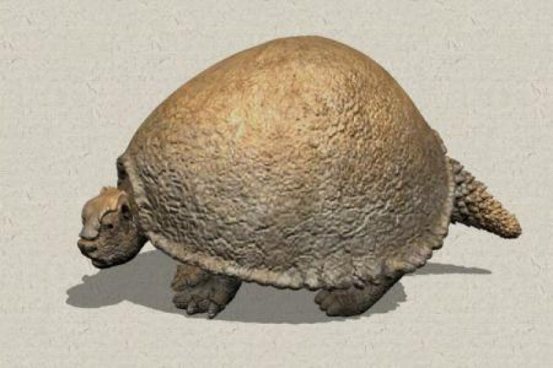 DESCOPERIRE: Doi medici veterinari au descoperit în nordul Uruguayului fosila unui gliptodont vechi de 10.000 de ani DESCOPERIRE: Doi medici veterinari au descoperit în nordul Uruguayului fosila unui gliptodont vechi de 10.000 de ani