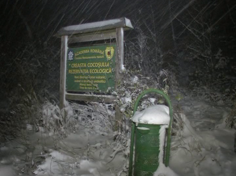 VREMEA SCHIMBĂ FOAIA: În Maramureş şi în Transilvania vor predomina ninsorile