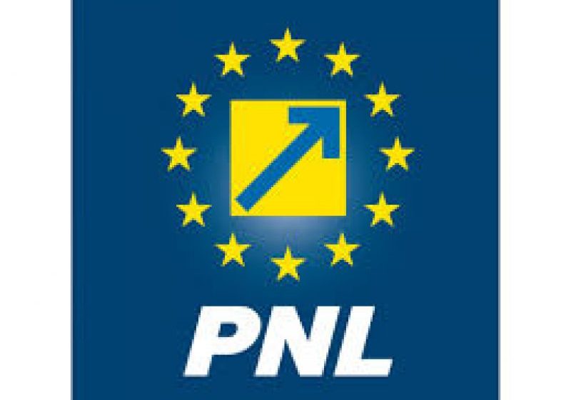 ALEGERI LOCALE: PNL a validat alte 19 candidaturi la alegerile locale