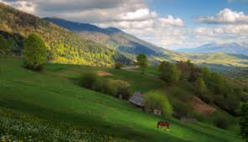 SOCIETATEA ORNITOLOGICĂ ROMÂNĂ: România avea 1.486 de arii naturale protejate, la nivelul anului 2015 SOCIETATEA ORNITOLOGICĂ ROMÂNĂ: România avea 1.486 de arii naturale protejate, la nivelul anului 2015