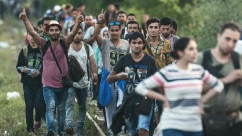 SCANDAL ÎN MAREA BRITANIE: Solicitanţii de azil din Cardiff, obligaţi să poarte brăţări colorate pentru a primi hrană SCANDAL ÎN MAREA BRITANIE: Solicitanţii de azil din Cardiff, obligaţi să poarte brăţări colorate pentru a primi hrană