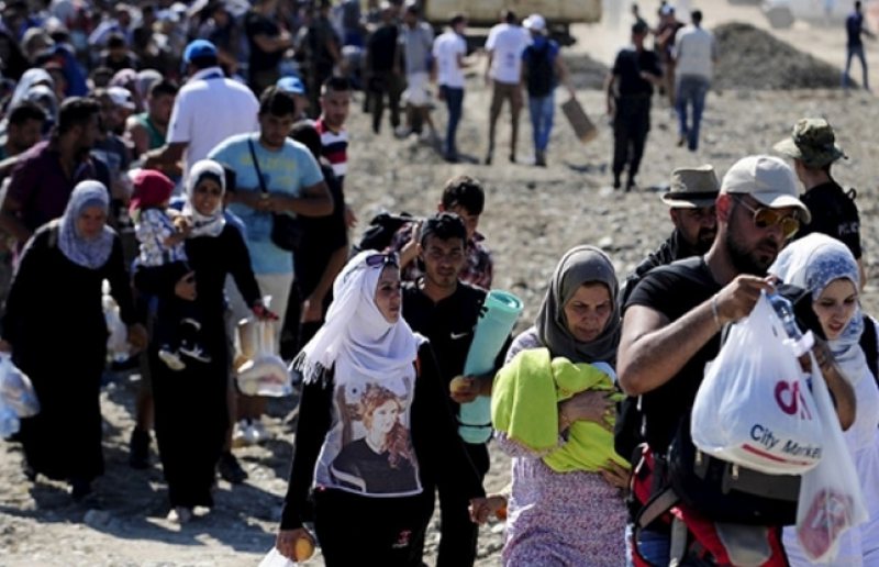 AU AJUNS ŞI LA NOI: Un grup de 60 de imigranţi au fost prinşi în timp ce intrau în România AU AJUNS ŞI LA NOI: Un grup de 60 de imigranţi au fost prinşi în timp ce intrau în România