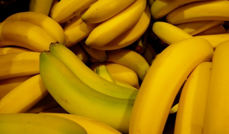 INDIA: Un hoț a fost forțat să mănânce banane pentru a restitui un lanț de aur INDIA: Un hoț a fost forțat să mănânce banane pentru a restitui un lanț de aur