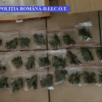 28 de grupări care se ocupau cu traficul de droguri au fost destructurate în primele șase luni ale anului