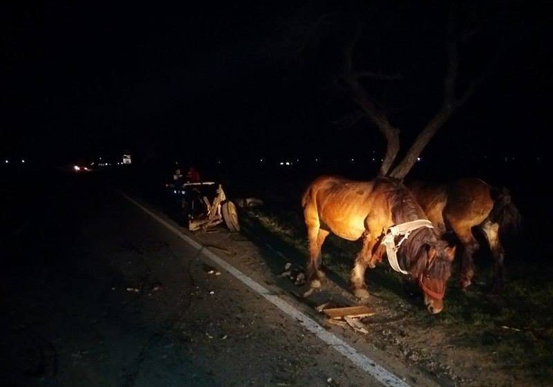 ACCIDENT: Un autoturism a lovit în această seară o căruță, la intrare în comuna Sarasău