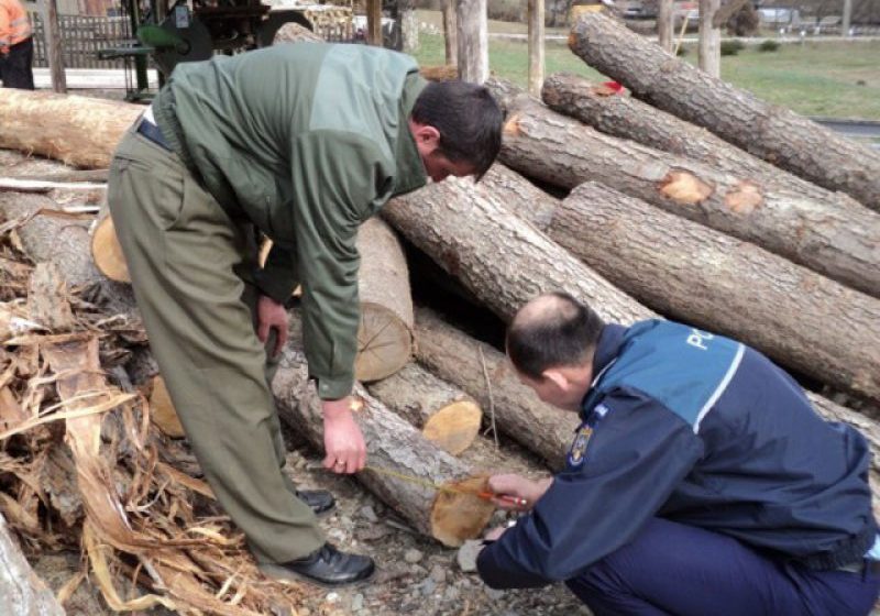 DELICTE SILVICE: Material lemnos confiscat de poliţişti