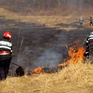 Sfaturi de la ISU pentru preîntâmpinarea incendiilor de vegetație