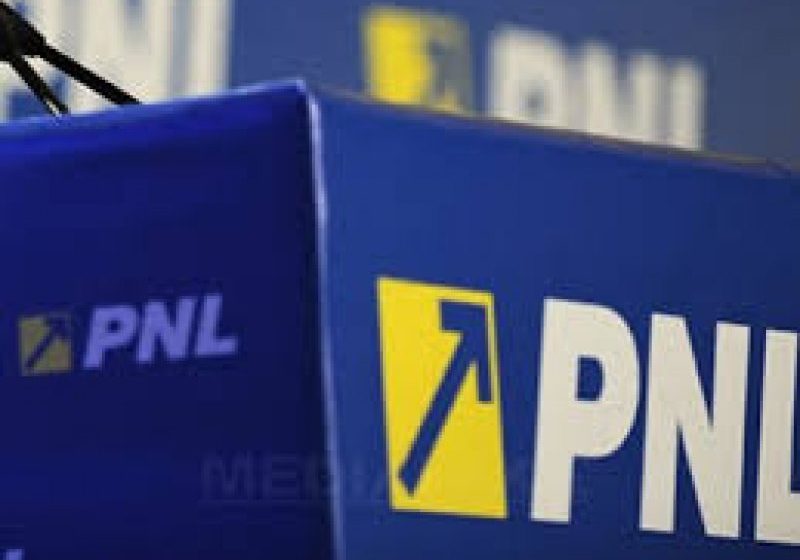 EXERCIŢIU DEMOCRATIC: PNL le cere liderilor Parlamentului European şi socialiştilor europeni să se delimiteze de Dragnea EXERCIŢIU DEMOCRATIC: PNL le cere liderilor Parlamentului European şi socialiştilor europeni să se delimiteze de Dragnea