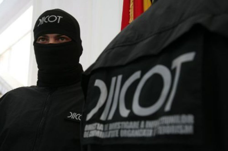 DIICOT: Captură de 351 kg frunze de khat, droguri aduse din Africa DIICOT: Captură de 351 kg frunze de khat, droguri aduse din Africa