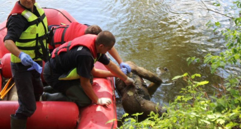 DESCOPERIRE MACABRĂ: Cadavrul unei persoane a fost găsit în râul Someş DESCOPERIRE MACABRĂ: Cadavrul unei persoane a fost găsit în râul Someş