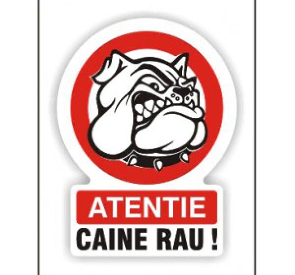 REPORTAJUL ZILEI: Reguli stricte pentru proprietarii de câini periculoși