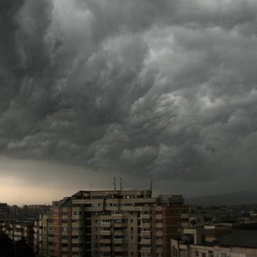 Cod portocaliu de vijelii