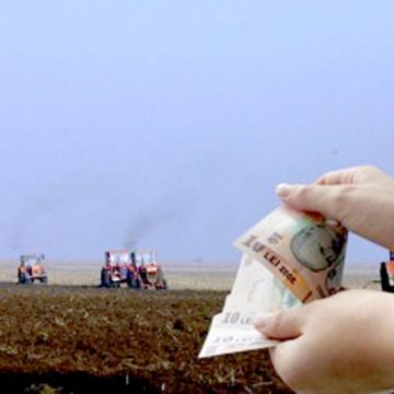 VIDEO | APIA –  se apropie data limită de depunere, fără penalități, a cererilor unice de plată