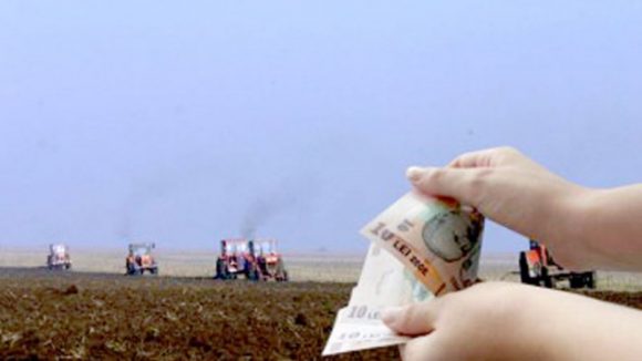VIDEO | APIA –  se apropie data limită de depunere, fără penalități, a cererilor unice de plată