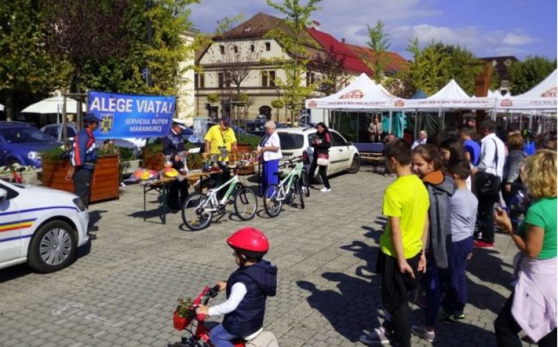 CUPA CASTANELOR: Concurs interjudețean pe teme de educație rutieră la Baia Mare CUPA CASTANELOR: Concurs interjudețean pe teme de educație rutieră la Baia Mare