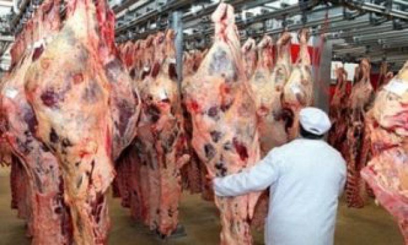 FENOMENUL SECETEI: Mii de animale vândute la abatoare din lipsă de furaje, pe fondul secetei excesive FENOMENUL SECETEI: Mii de animale vândute la abatoare din lipsă de furaje, pe fondul secetei excesive