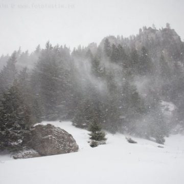 AVERTIZARE METEO: Cod galben de ninsori viscolite în Maramureș