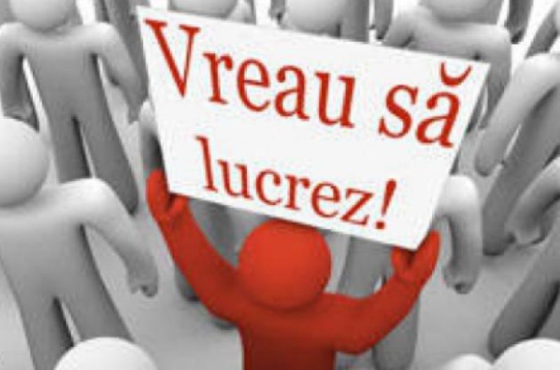 RECOMANDĂRI: Ce trebuie să înveţi pentru a nu fi niciodată şomer şi a avea un salariu de peste 1.000 de euro pe lună, în România RECOMANDĂRI: Ce trebuie să înveţi pentru a nu fi niciodată şomer şi a avea un salariu de peste 1.000 de euro pe lună, în România