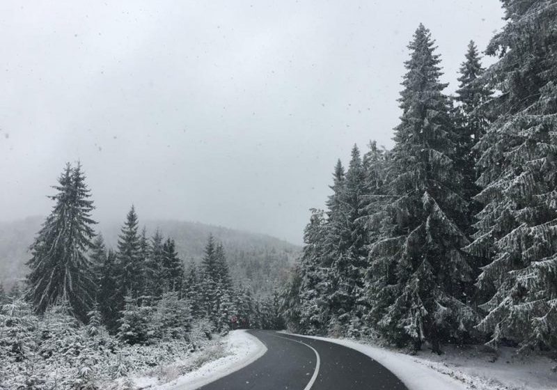 VINE IARNA: Cod galben de vânt puternic și ninsori în mai multe județe printre care și Maramureș VINE IARNA: Cod galben de vânt puternic și ninsori în mai multe județe printre care și Maramureș