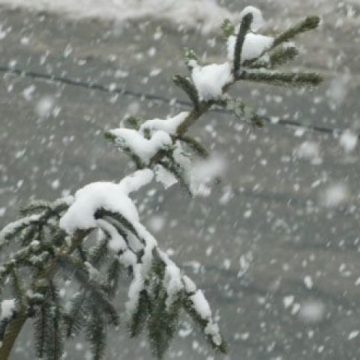 ATENȚIONARE METEO: Cod galben în zonele de munte ATENȚIONARE METEO: Cod galben în zonele de munte